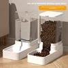 Transparent pet feeder + water dispenser (1.6kg + 3.3L)