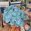 ดอกคามิลเลียสีน้ำเงินเข้ม-ก้านดอกไม้เคลือบพรีเมี่ยม