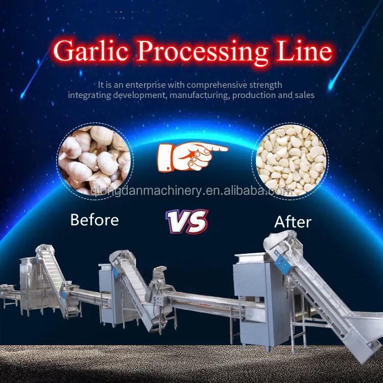 Easy Operation Garlic Peeling Machine Garlic Processing Plant Garlic