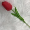 Rouge vif