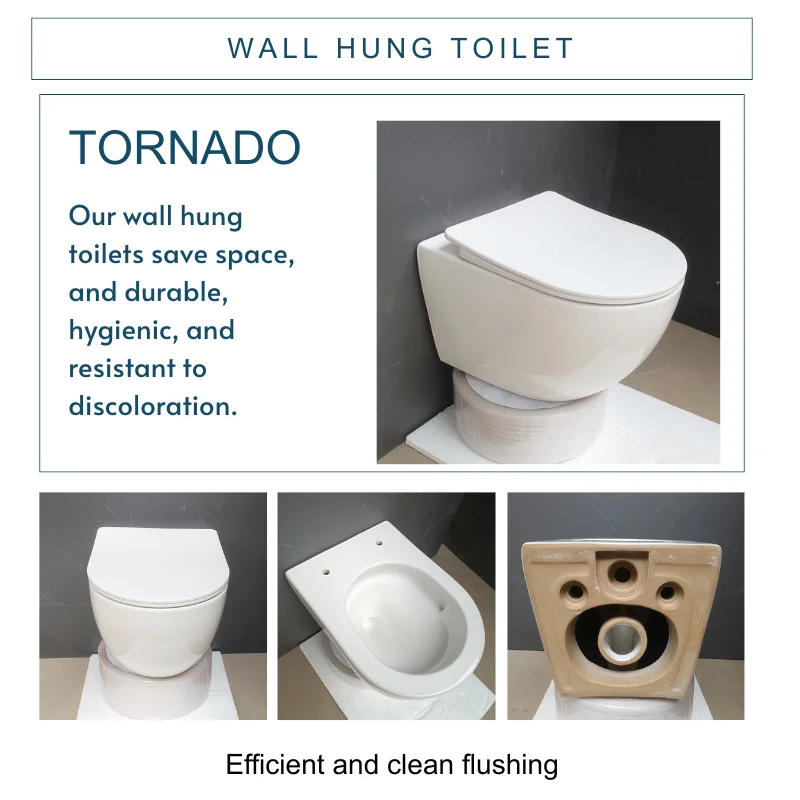 Cheap Price White Color Ceramic Black to Wall Hung Toilet European