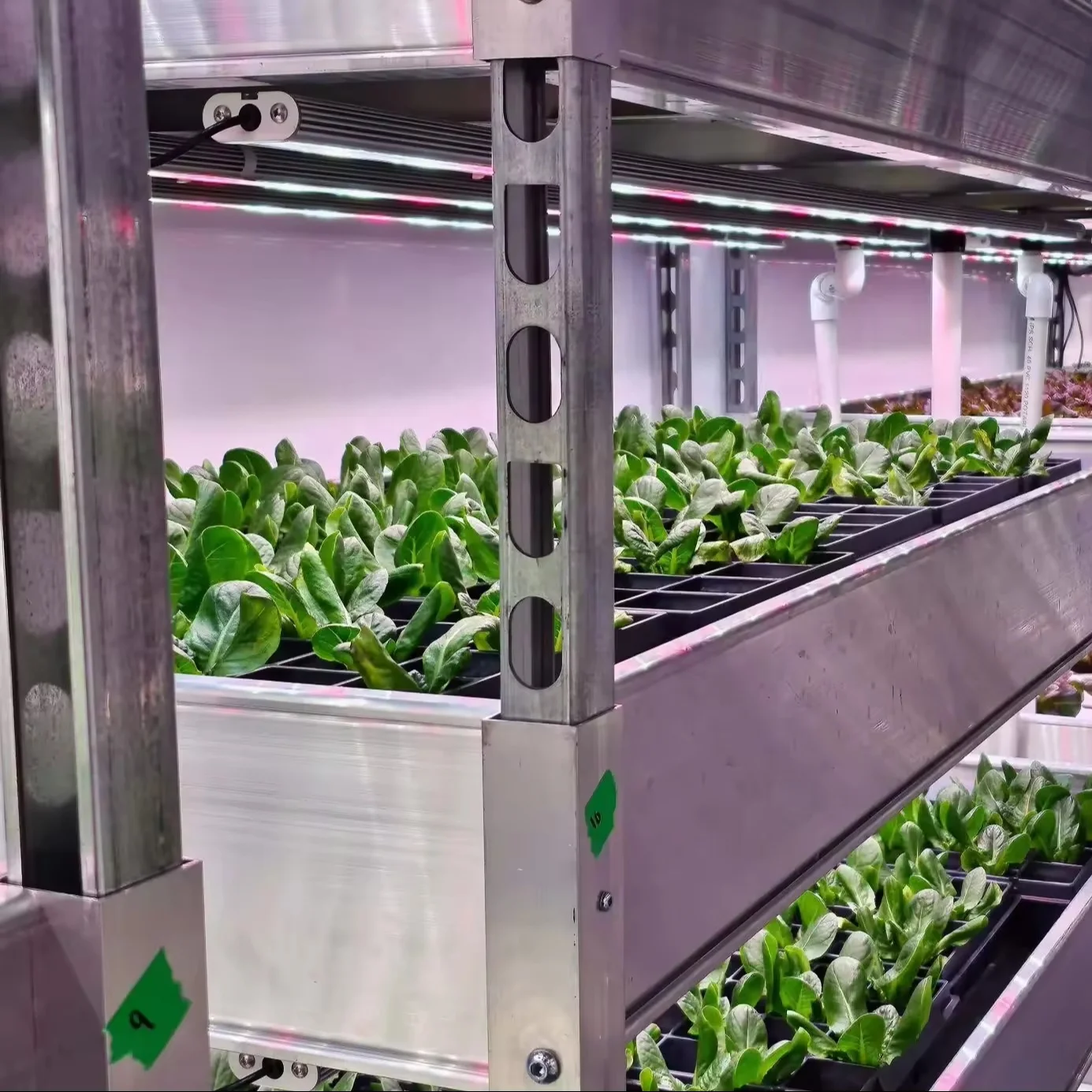 Large Vertical Farming System Container Hydroponic Greenhouse for Shipping and Mushroom Farming