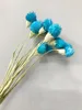 tiffany blue