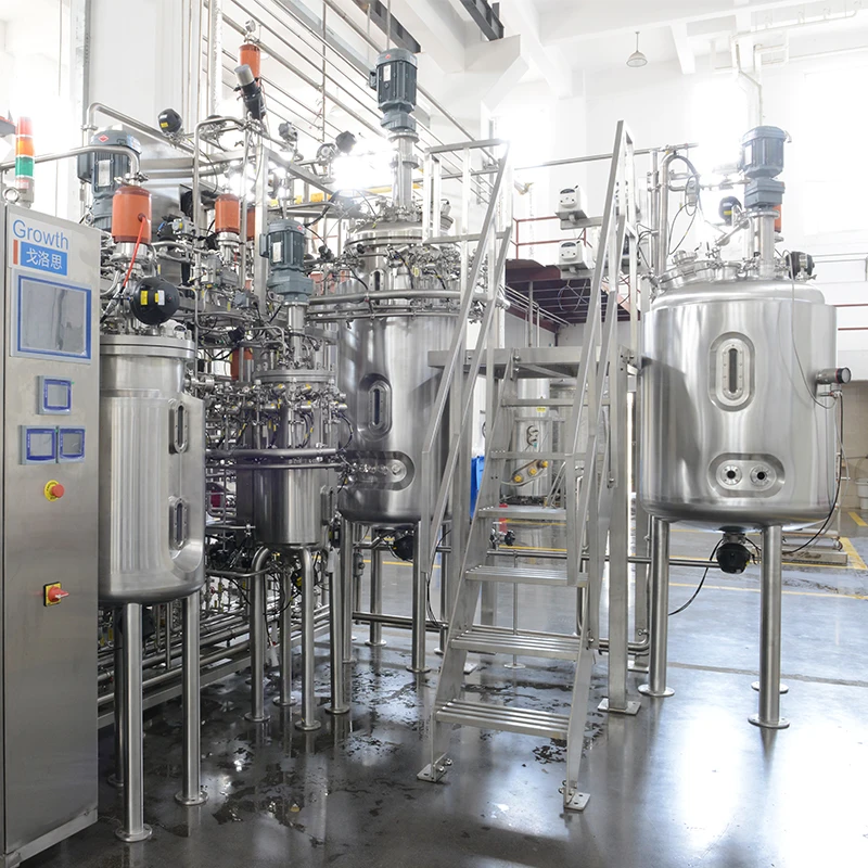Laboratory Bioreactor Fermentation Extraction Biotechnology Storage Mixing Tanks Specific for Liquid Spawn Fermenting Equipment