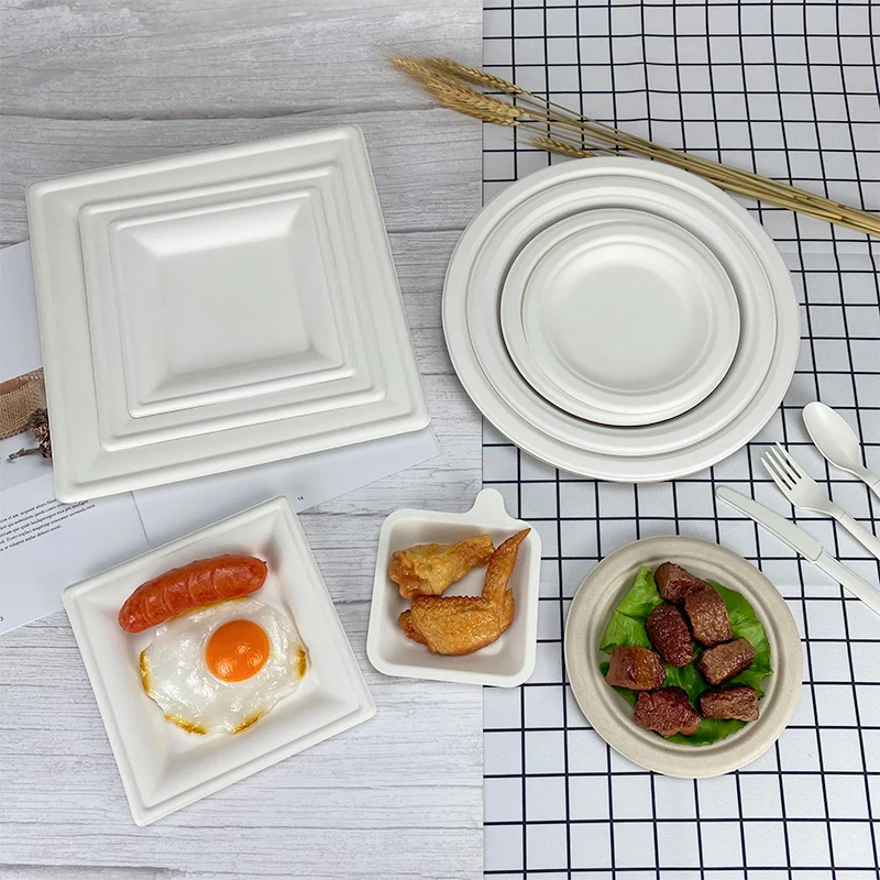 Degradable Disposable Biodegradable Take Away Package Picnic Zuckerrohr Teller Bagasse Sugarcane Sugar Cane Pizza Paper Plate