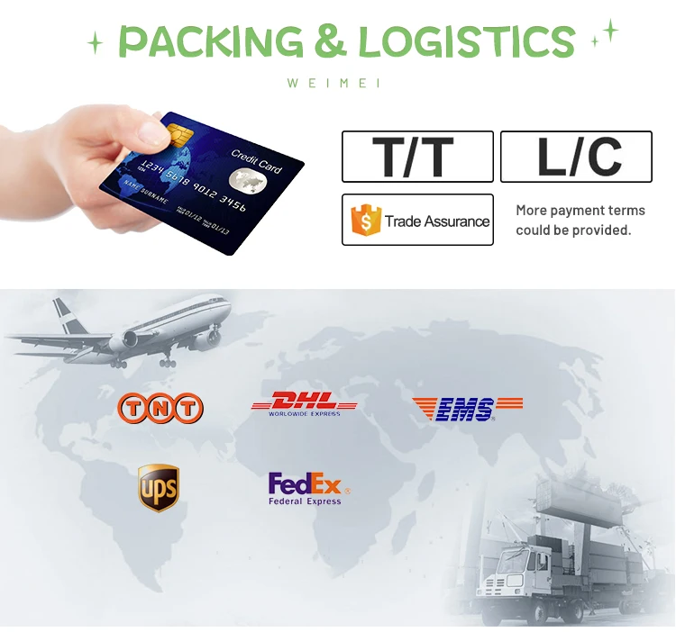 Wholesale Temporary Tattoo For Kids Princess Waterproof Body Face