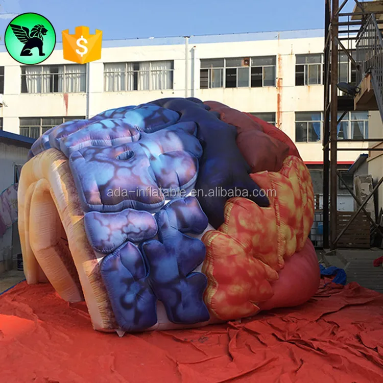 Large Inflatable Lung 6m Inflatable Lung Customized Giant Lung Inflatable For Event A5789 ...
