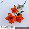 3-headed glued rose, BD, orange