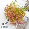 AHB1751-044-1 Lotus Color