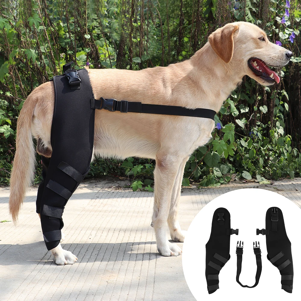 Dog rear hotsell leg acl brace