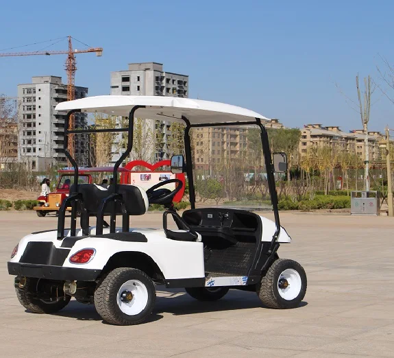 Custom Electric Golf Cart Person Golf Cart Person