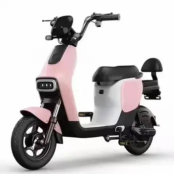 14\" Cartoon Style Electric Mini Scooter with 3-Speed 48v Lead-Acid Battery Light Two-Wheel Hybrid E-Scooter