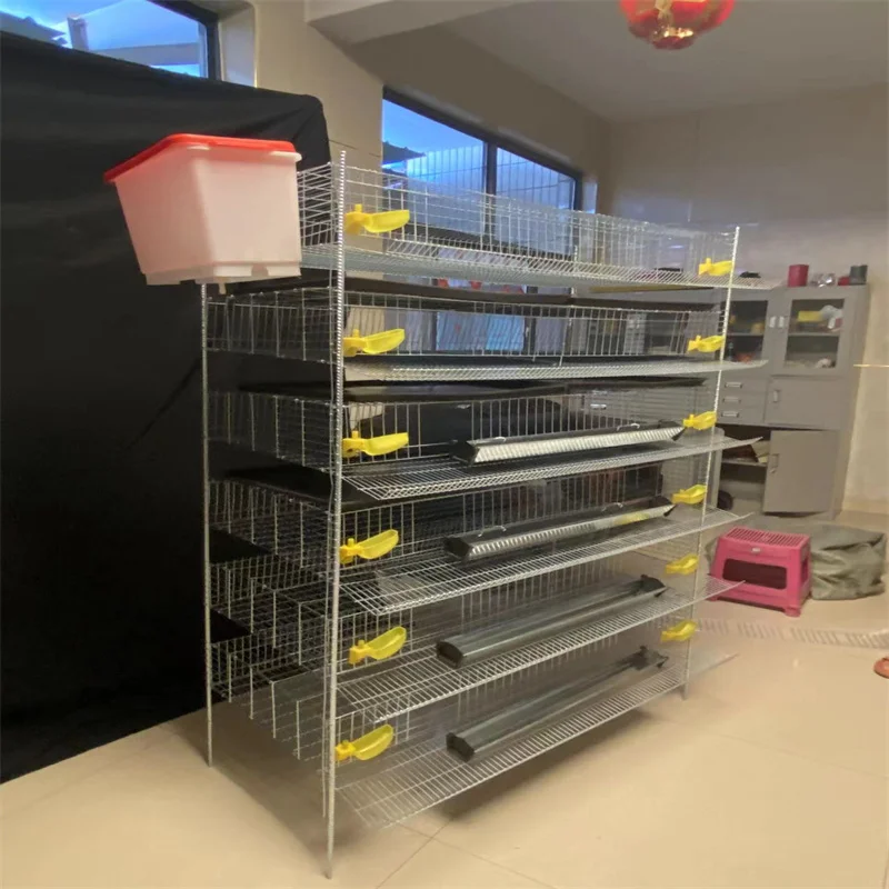 H Type Quail Cage For Quail Farm Factory Direct Quail Cage - Buy Quail