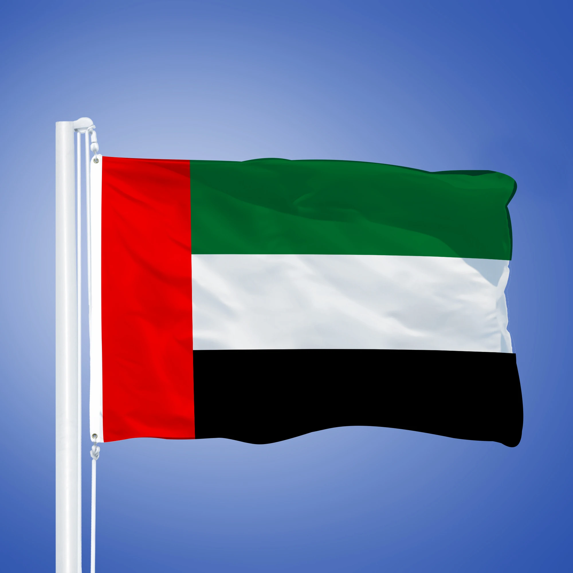 Tập tinFlag of the President of the United Arab Emiratessvg  Wikipedia  tiếng Việt
