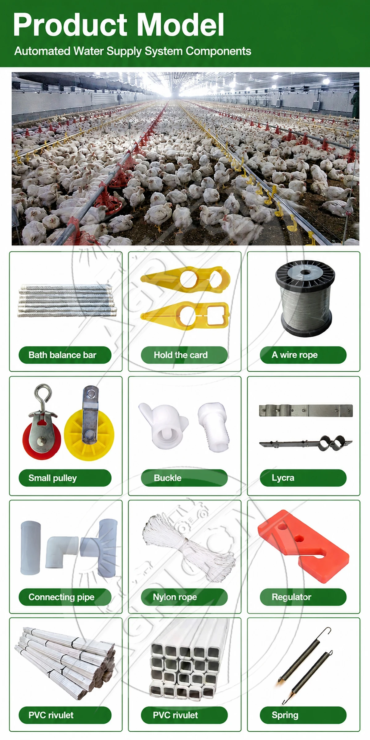 Automatic Poultry Feeding Line