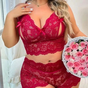 JENGS Factory Red Heavy Craft Embroidery Lingerie Set Splicing Tie-Up and Hollow Out Light Control Machine Embroidery Wholesale Supply