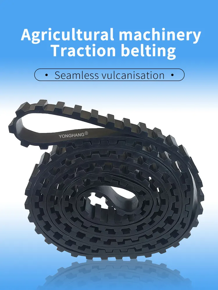 Belt System Harvesting Root Crops And Storage In Stores Agricultural