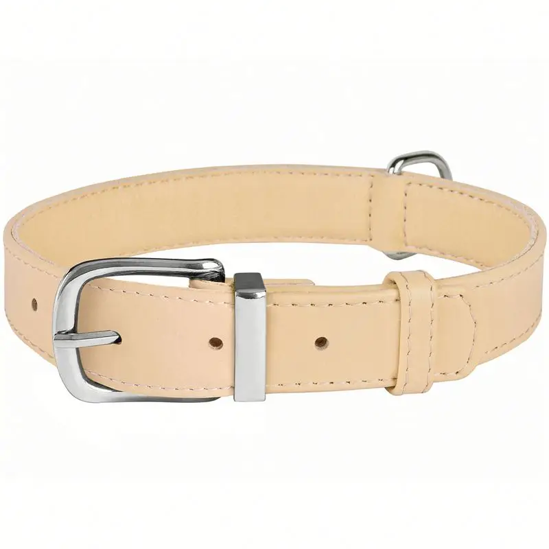 kmart dog collars