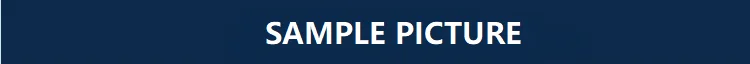 PICTURE.png