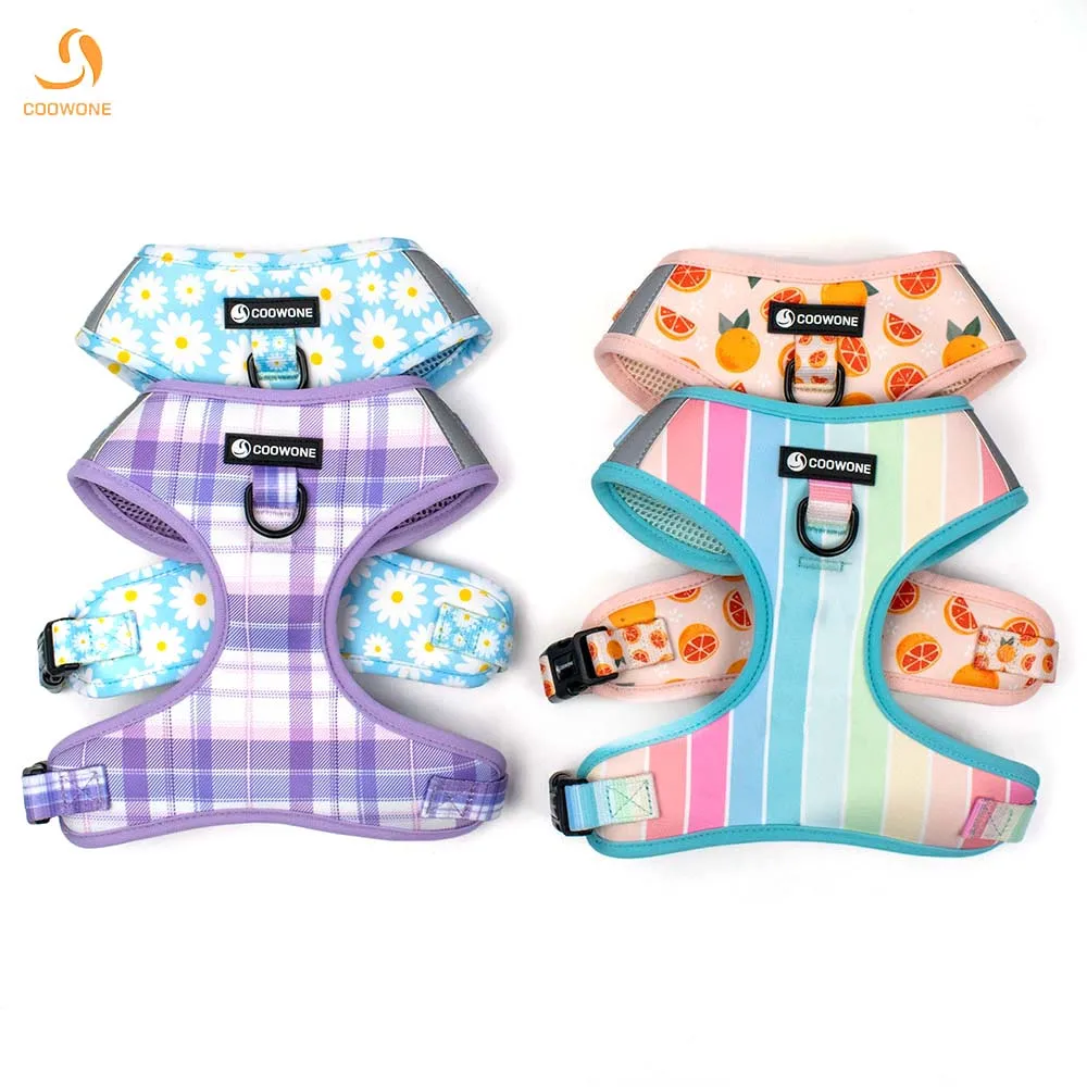 Custom Dog Harness Set Designer Pet Collar And Leash Personalised Dog