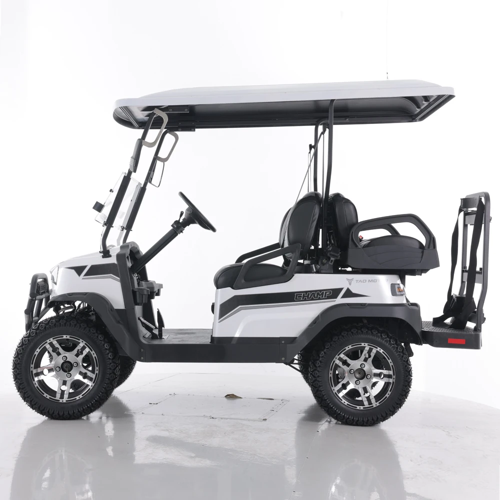 Tao Motor 48v 4 Wheel 4 Seater Golf Carts 2023 New Chinese Travel ...