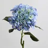 Blu-chiaro