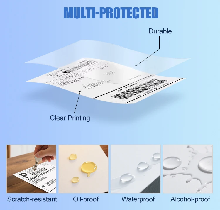 80x60mm Eco-Friendly Durable Waterproof Thermal Paper Self-Adhesive Label Roll Custom Logo Option for Logistics Supermarket Use