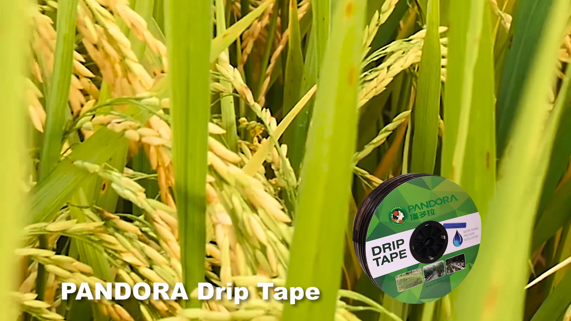 Pandora 1 Hectare Drip Hose Reel Irrigation Flat Tape Drip Irrigation