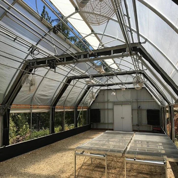 medical herb greenhouse