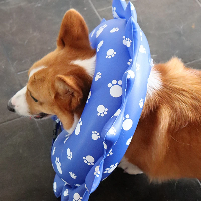 How Should A Dog Cone Fit