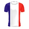 Francia tinta unita