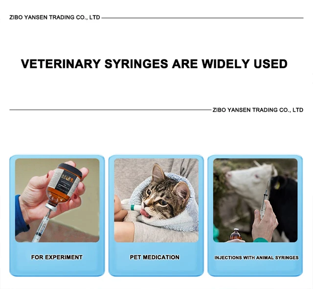Veterinary Syringe Disposable Injection Syringe With Needle - Buy ...