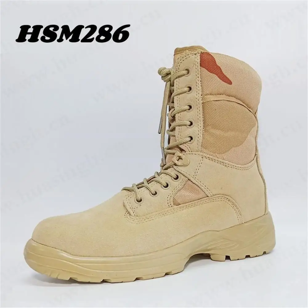 HSM286-1