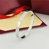 Without Diamond Silver