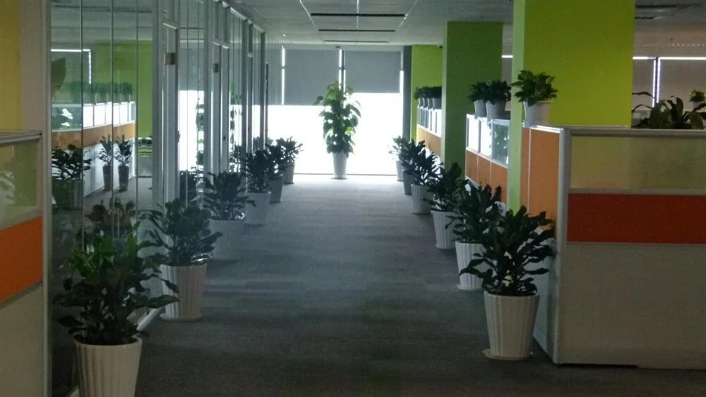Yiwu Elodie Jewelry Co., Ltd. 3