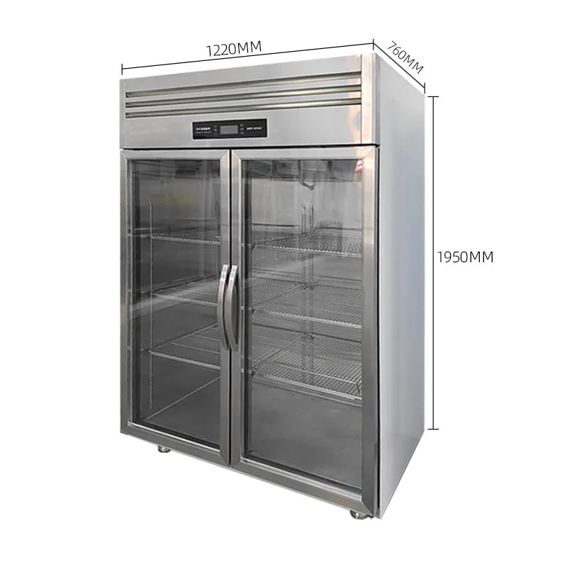 Display Fridge Size Double Door Display Fridge - Efficient Cooling Solutions