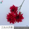 Three-headed Giant Claw Chrysanthemum XH Red