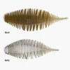 1 brown back white belly