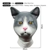 Gatto grigio