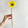 สีเหลือง