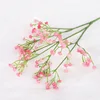 37013 pink
