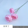 Austin WD Pink
