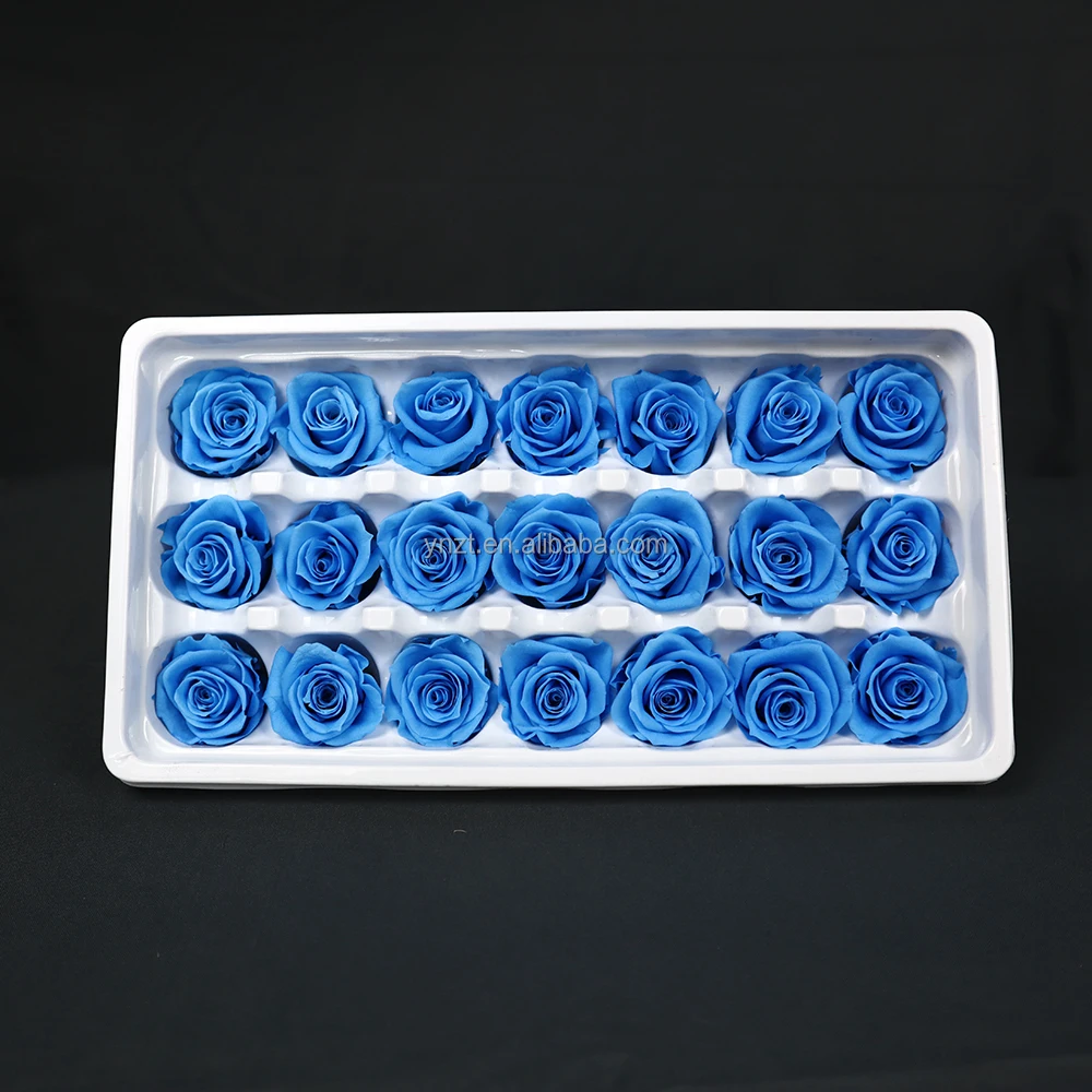 Eternal Preserved Rose Flower 21 Pcs Wholesale Eternity Roses