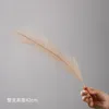 Couleur brunâtre