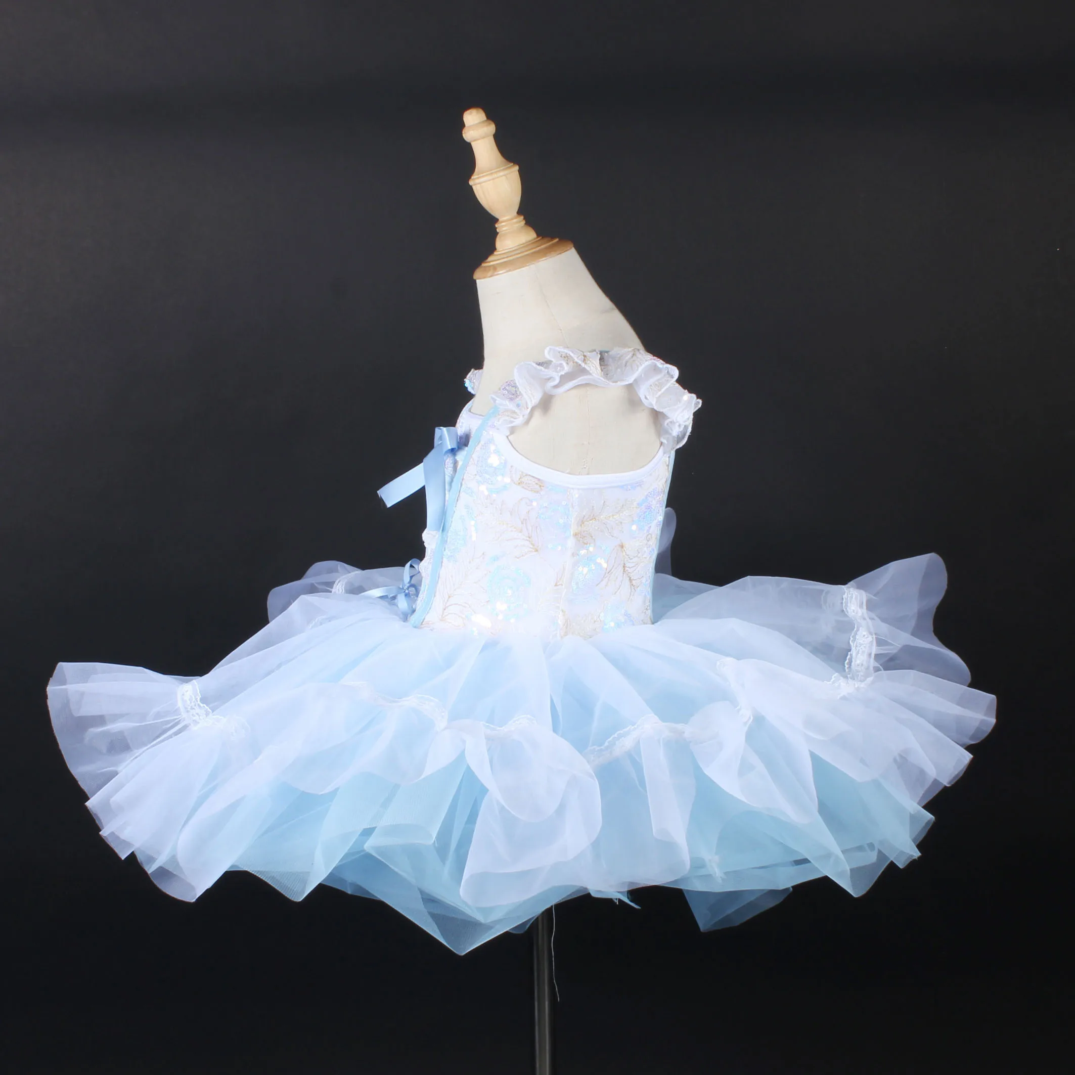 Lovely Girl Princess Dress Flower Sequin Ballet Dance Dress Professional Stage Performance Dance Wear