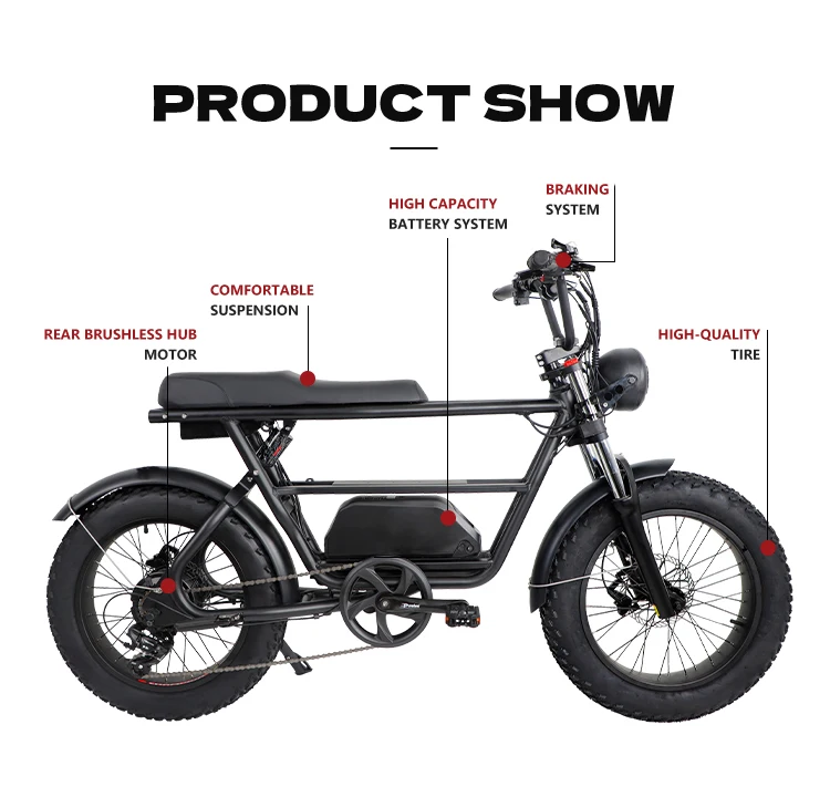 Bestselling Electric Bike with 20inch Fat Tires Dual Battery