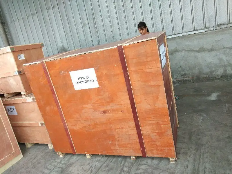 Pp Strip Packing Machine /automatic Strip Carton Box Packing Machine