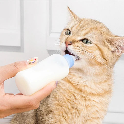 cat milk feeder