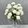 Bianco crema