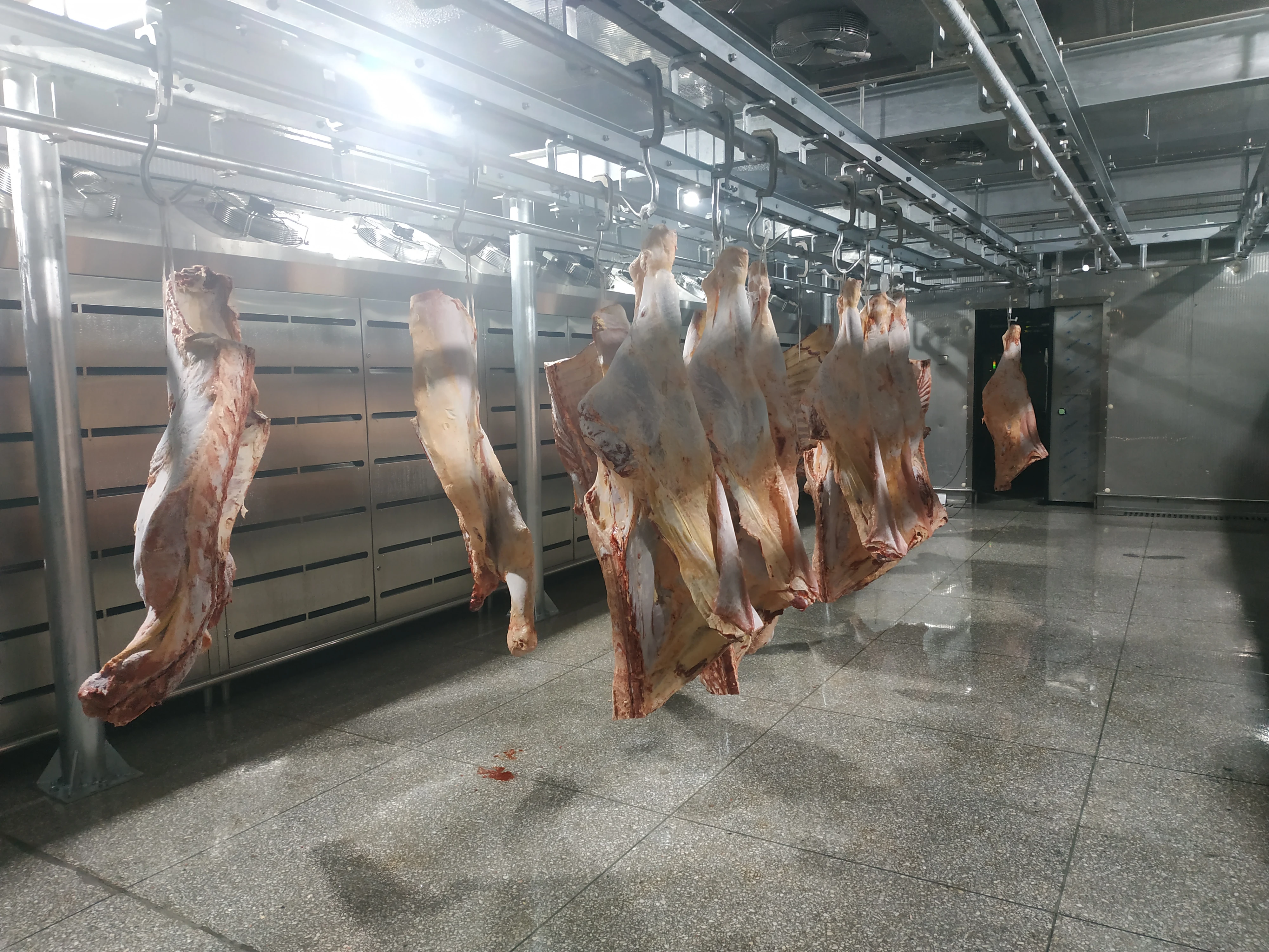 Automatic low-temperature meat thawing machine with circulating air system for meat processing plants